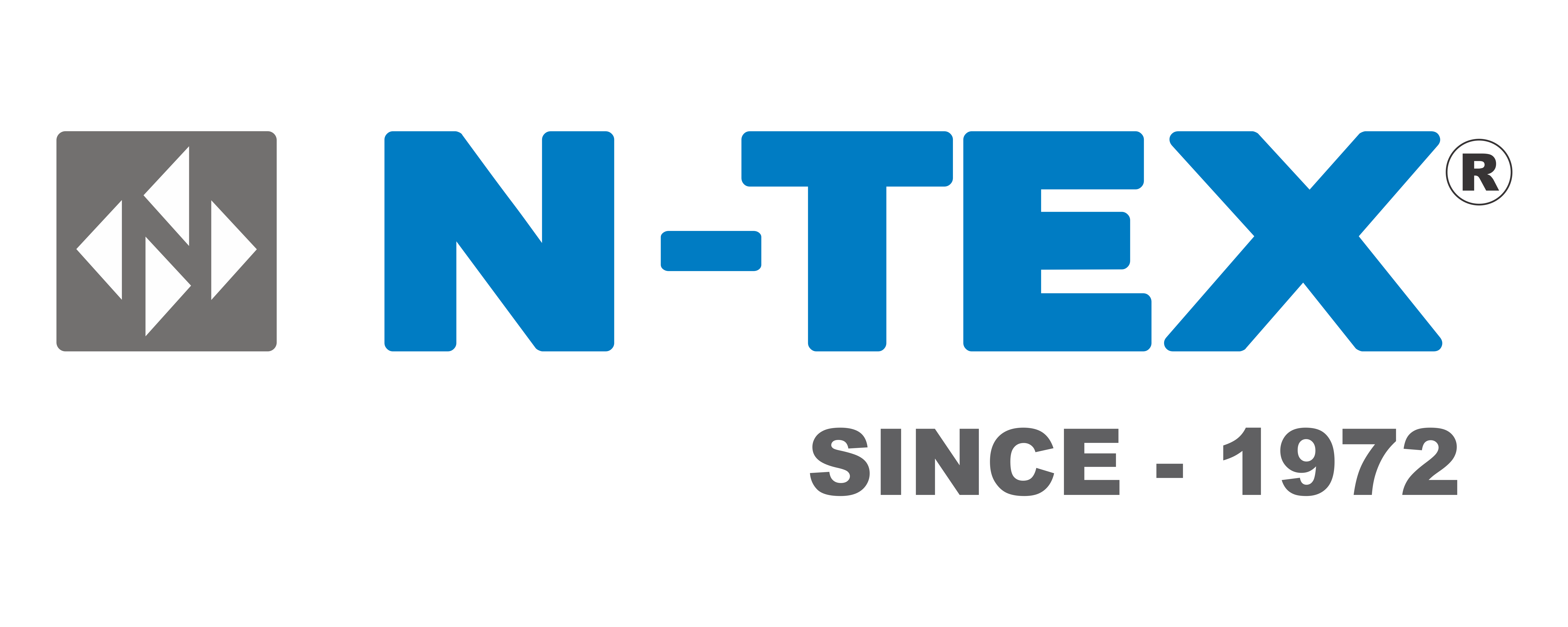 N-TEX INDIA Logo